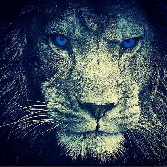 Meet your Posher, Derek - Picture 1 of 1